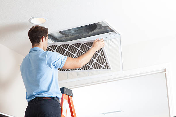 Best HVAC Air Duct Cleaning  in Webb City, MO